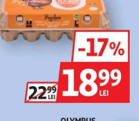 Regalina Ouă, 15 Buc, Cod 2/L