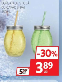 ACTUEL BORCAN DE STICLĂ CU CAPAC ȘI PAI 450ML