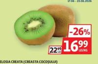 KIWI