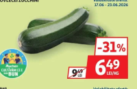 DOVLECEI ZUCCHINI