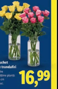 Buchet de trandafiri 9 fire 1 buc.
