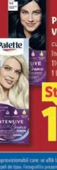 Palette Vopsea de păr culori deschise / închise 110 ml
