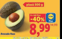 Avocado Hass plasă 500 g