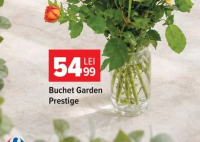 Cartofi noi albi per kg