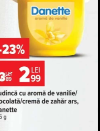 Danette Budincă cu aromă de vanilie/ciocolată/cremă de zahăr ars 125 g