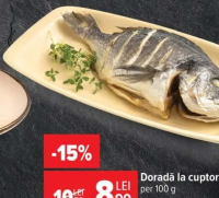 Tentacule de calamar 100g