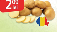 Cartofi noi albi România per kg