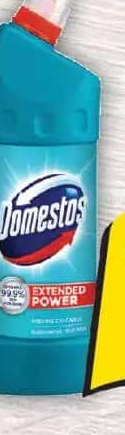 Domestos Dezinfectant pe bază de clor Briza Mării/Pin 1L