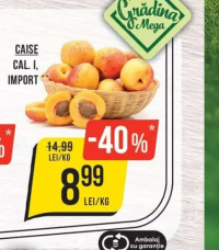 Grădina Mega CAISE CAL. I, IMPORT