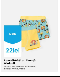 Boxeri băieți cu licență Minionii