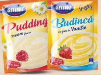 Gellwe Budincă de vanilie/ frișcă 40 g