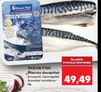 OCEAN FISH Macrou decapitat eviscerat, decongelat Scomber scombrus kg