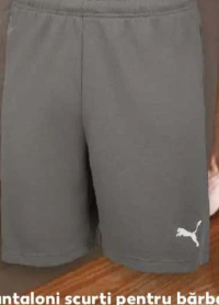 Puma Pantaloni scurți pentru bărbați M-XXL 100% poliester 1 buc