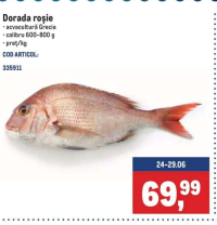 Dorada roșie 600-800 g
