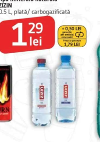 Apă minerală naturală ZIZIN 0.5 L