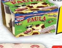 Paula Budincă cu gust de vanilie și ciocolată, 4x125g