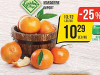 Grădina Mega Mandarine Import