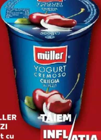 Muller Pezzi Iaurt cu fructe diverse sortimente 500 g