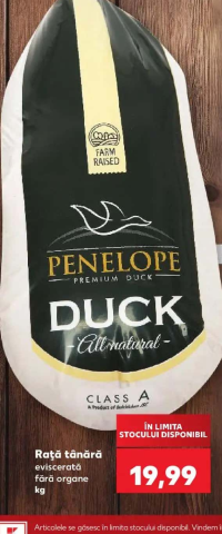 Penelope Rață tânără eviscerată fără organe kg