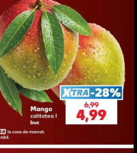 Mango calitatea I buc