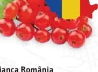 Coacăze roșii România 125 g