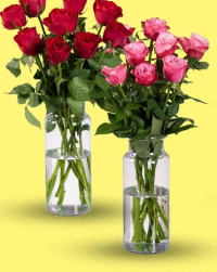 Buchet de trandafiri 9 fire 40 cm