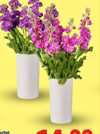 Buchet Matthiola 5 fire 40 cm