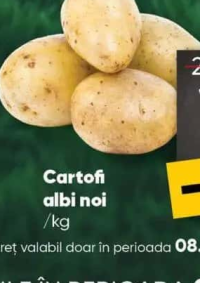 Cartofi albi noi /kg