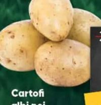 Cartofi albi noi /kg