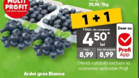 Afine caserolă 125g