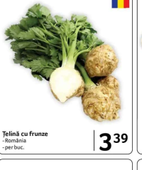 Țelină cu frunze - România - per buc.