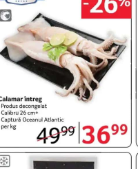 SELGROS Calamar întreg - per kg