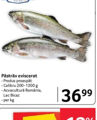 SELGROS Păstrăv eviscerat - per kg