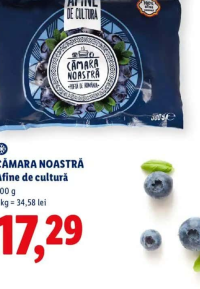 CĂMARA NOASTRĂ Afine de cultură 500 g