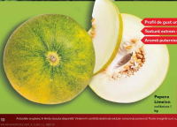 Pepene Limelon calitatea I kg