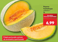Pepene Cantaloupe calitatea I kg