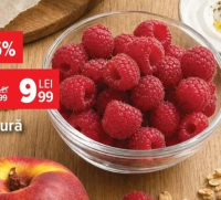 Toast fin, Savoria 500 g