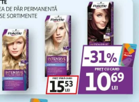Palette Vopsea de păr permanentă diverse sortimente 110ml