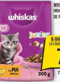 WHISKAS HRANĂ USCATĂ PENTRU PUI DE PISICĂ, CU PUI, 300G