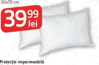 Set 2 perne ECONOMIC 50x70 cm