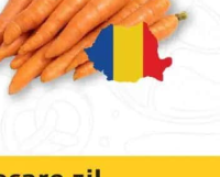 Morcovi România per kg