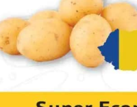 Cartofi albi noi România per kg