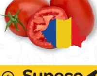 Roșii prunișoare România per kg