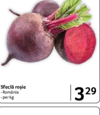 Sfeclă roșie România kg