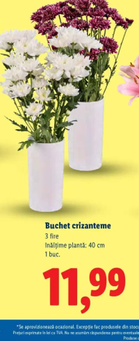 Buchet crizanteme 3 fire 40 cm 1 buc.