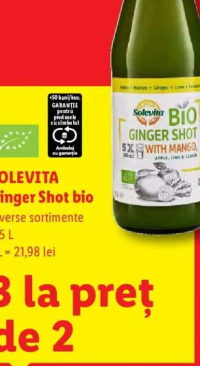 SOLEVIta Ginger Shot bio diverse sortimente 0,5 L