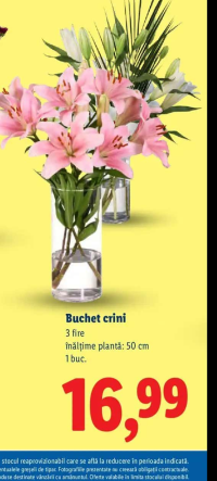 Buchet crini 3 fire 50 cm 1 buc.