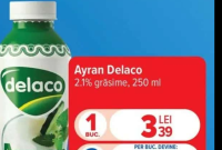 Delaco Ayran 2.1% grăsime 250ml
