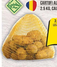Grădina Mega Cartofi Albi Noi 2.5 kg, Cal. I, România