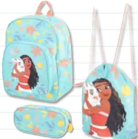 Set ghiozdan, penar și geantă sport cu licență, 1 set